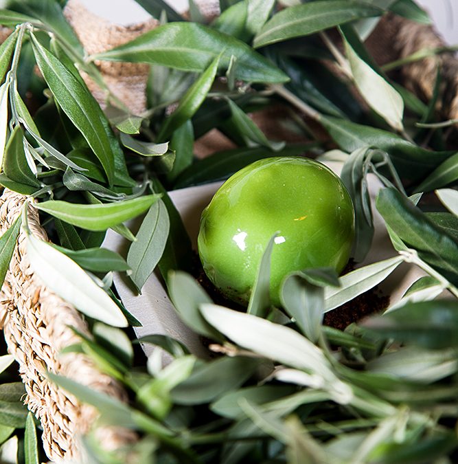 L’huile d’olive en mode Sud’Cré !